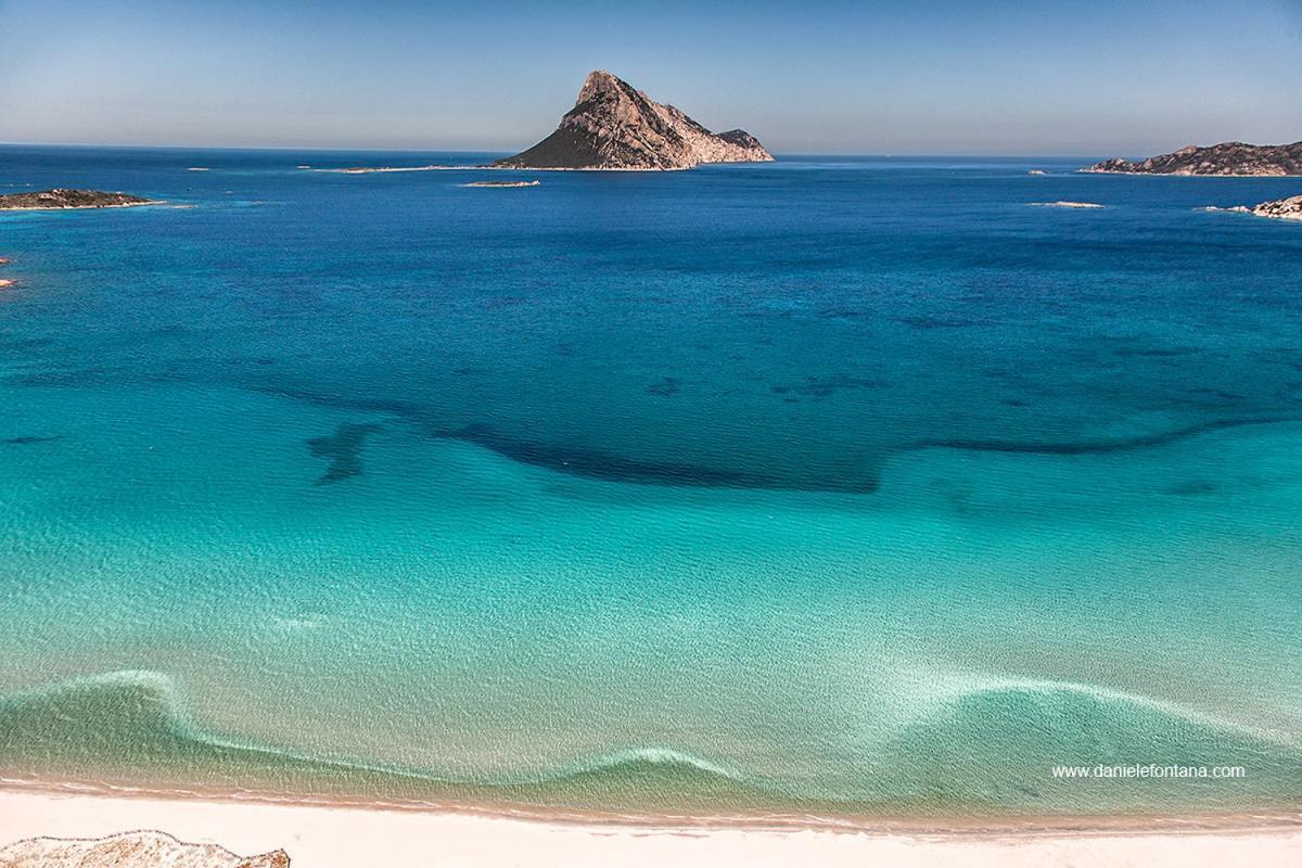 Aria Di Vacanza - Gelsi Olbia Luaran gambar