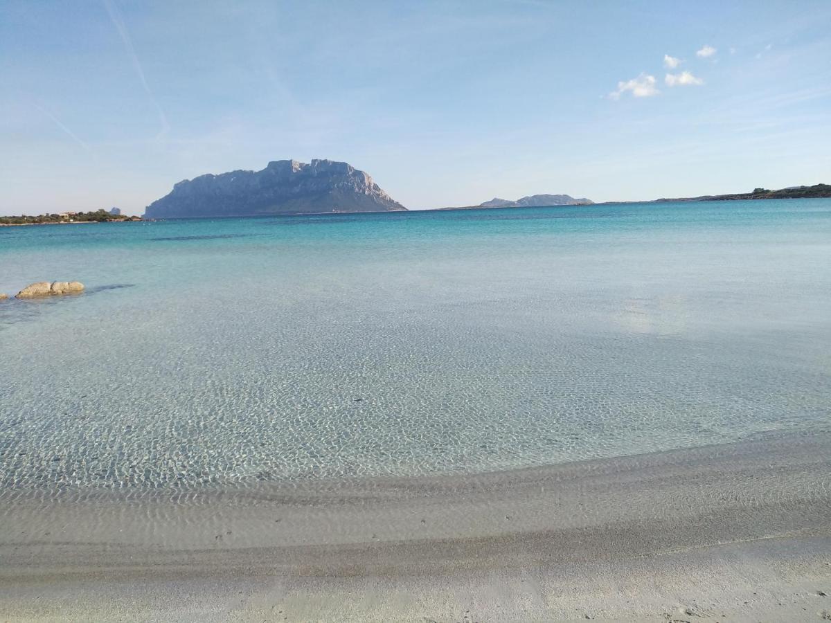 Aria Di Vacanza - Gelsi Olbia Luaran gambar