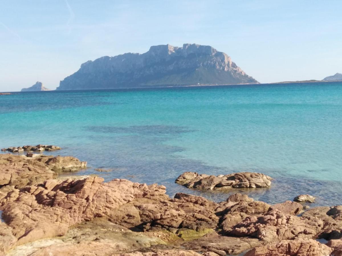 Aria Di Vacanza - Gelsi Olbia Luaran gambar